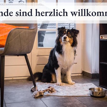 Blumenvilla 1 Mit Begehbarer Dusche, Sauna Und Garten Schneverdingen Buitenkant foto