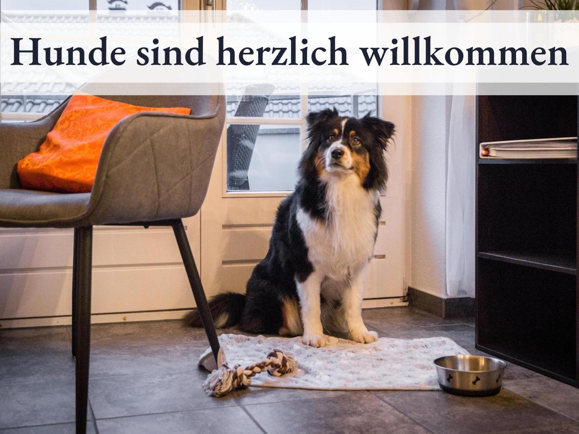 Blumenvilla 1 Mit Begehbarer Dusche, Sauna Und Garten Schneverdingen Buitenkant foto